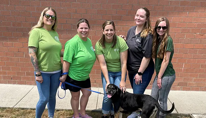 team at animal shelter