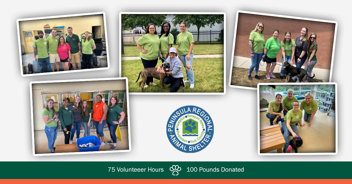Peninsula Regional Animal Shelter Collage