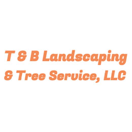 T and B Landscaping & Tree service Logo